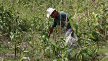 Imagenes De Matagalpa  Nicaragua