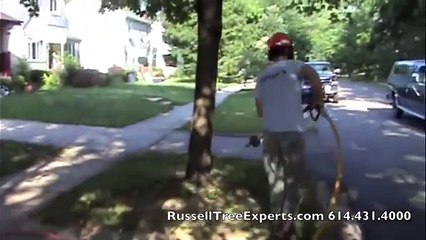 Using an Air Spade to save trees in Ohio. Russell Tree Experts