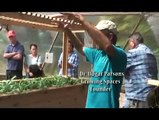 U.S. Forest Service & Zaagkii Project 2010: Keweenaw Bay Indian Community Native Plants Greenhouse