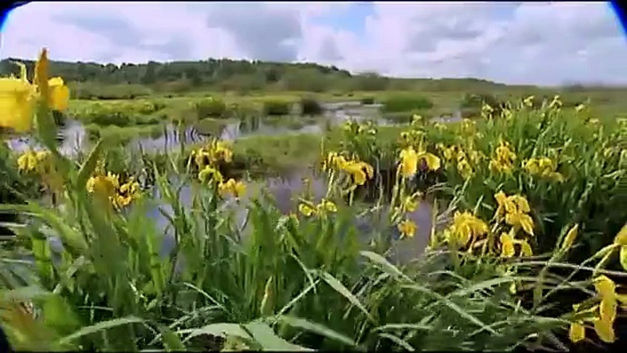 Bilder aus dem früheren Ostpreussen 2005