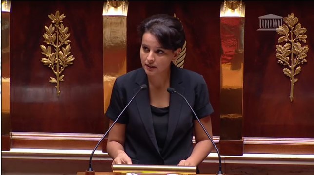 Un dispositif efficace pour protéger les enfants contre les prédateurs sexuels - Discours à l'Assemblée nationale
