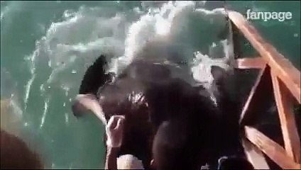 Una dolcissima giocherellona