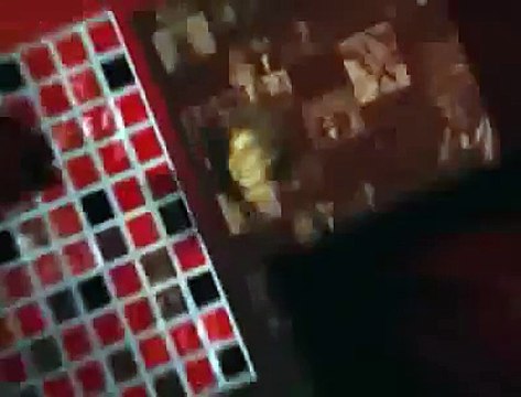 CHUCK NORRIS TALKS ABOUT BRUCE LEE