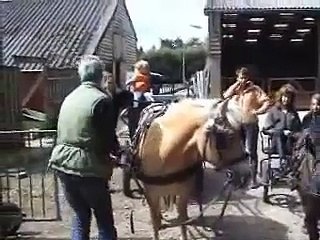 Oefenen in de bossen van Austerlitz