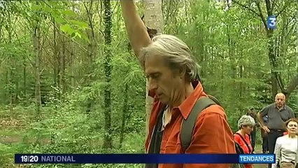 Il heurte une colonne de puissance à Brocéliande