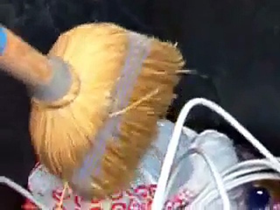 Possum in the garbage can