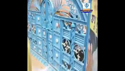 Singha da morcha - source sikh channel