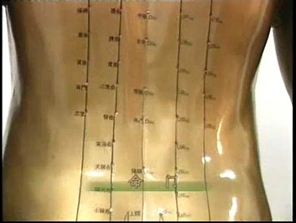 DIY 糖尿病防治保健推拿 (3) 督脉及其相关穴位