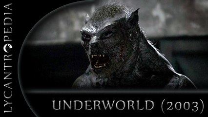 Lycan ( Werewolf ) in Underworld