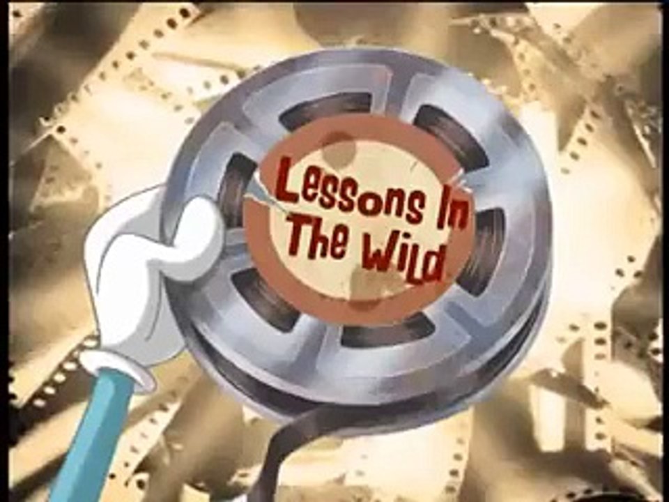 cartoon best New Zig amp Sharko amp Oggy and the Cockroaches cartoon in hindi 2015 By Daily Fun