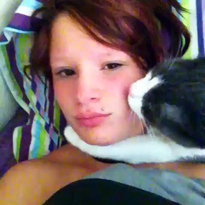 Lovely Funny cat video