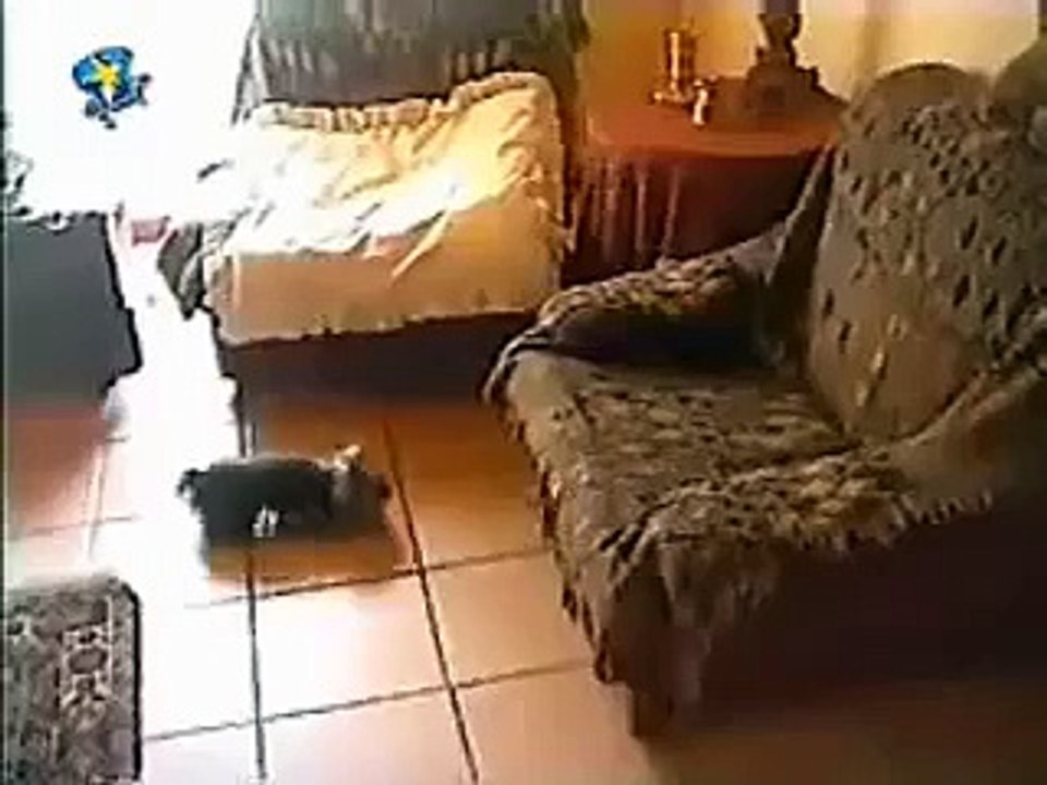 震驚全美強暴案現場實錄