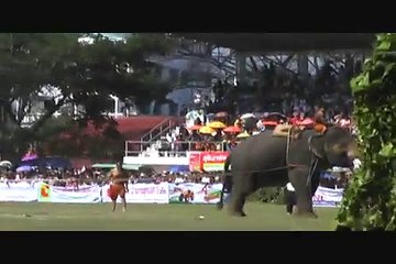 Surin Elephant Roundup - Elephant vs 100 Men Tug Of War - Thailand