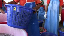 Thai Shrimp Industry Exploits Workers to Sell Cheap Shrimp