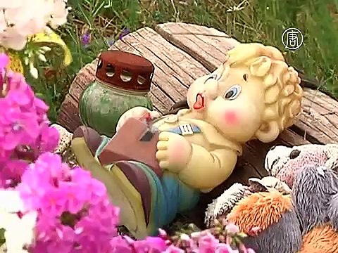 Со дня катастрофы Боинга в Украине прошёл год