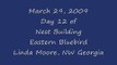 Eastern bluebird nest building day 12-March 29, 2009