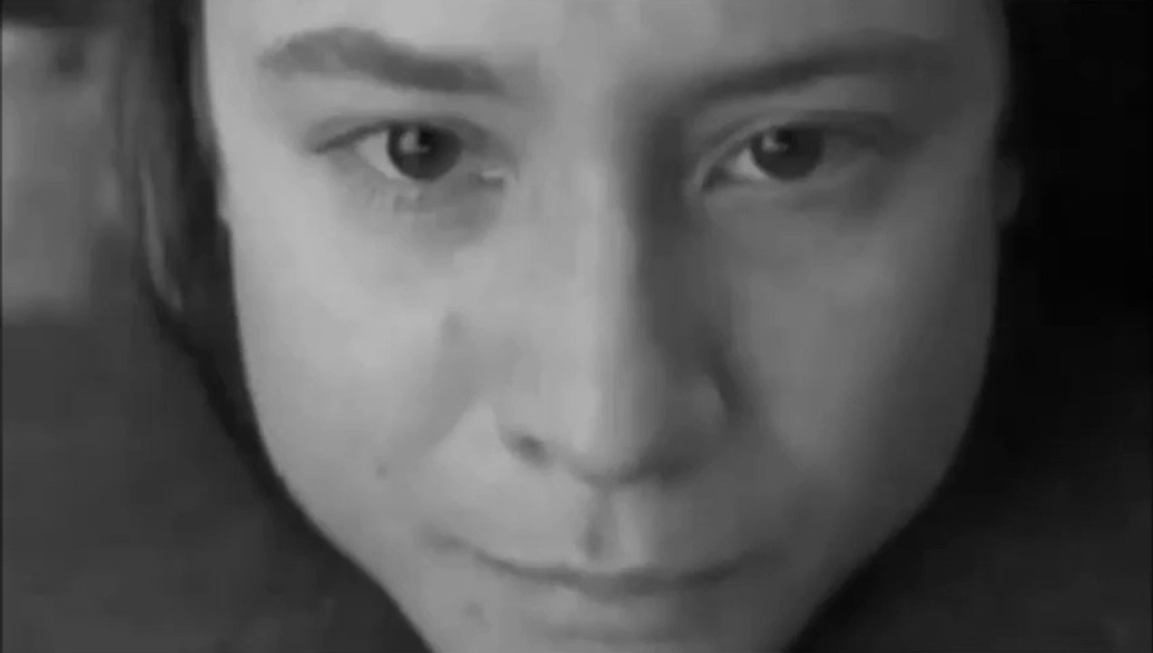 Die Weisse Rose - Nicht Schuldig