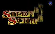 Das Schwarze Auge Sternenschweif Intro