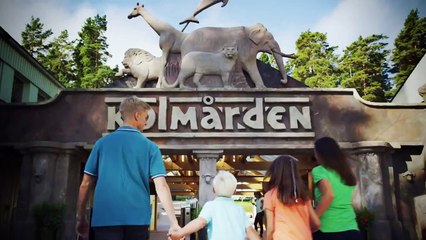 Kolmården reklamfilm 2014