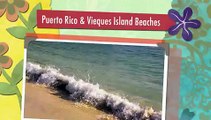 Puerto Rico and Vieques Island Beaches