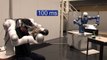 The Telepresence and Virtual Reality Lab - Robotics and Mechatronics Center, DLR
