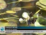 Polémica por la creación de un parque nacional en los Esteros del Iberá