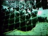 Die Wehrmacht Romanian Army in color Farbe Film WW2 Lied der Infanterie Wir tragen das Vaterland