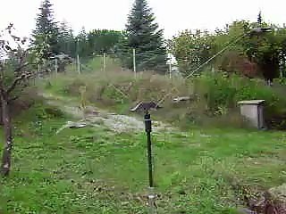 Olimpics Richiami Per la Caccia