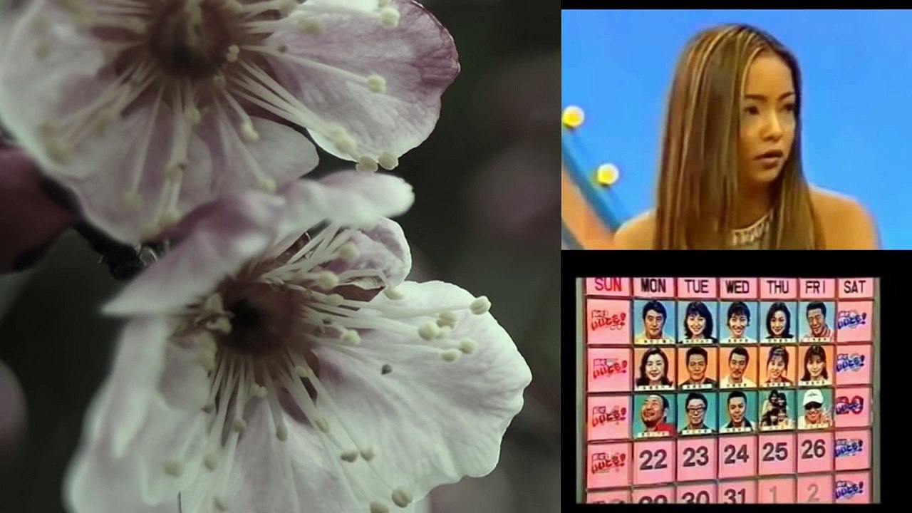 【激ヤバトーク】 安室奈美恵 VS タモリ Namie Amuro