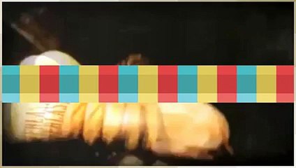 showtime boxing - Sahret Delgado   David Desant - weigh-in live - 17-07-2015 - its official