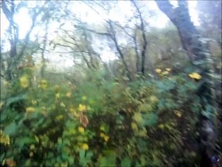 Chasse et ferme sanglier 2012