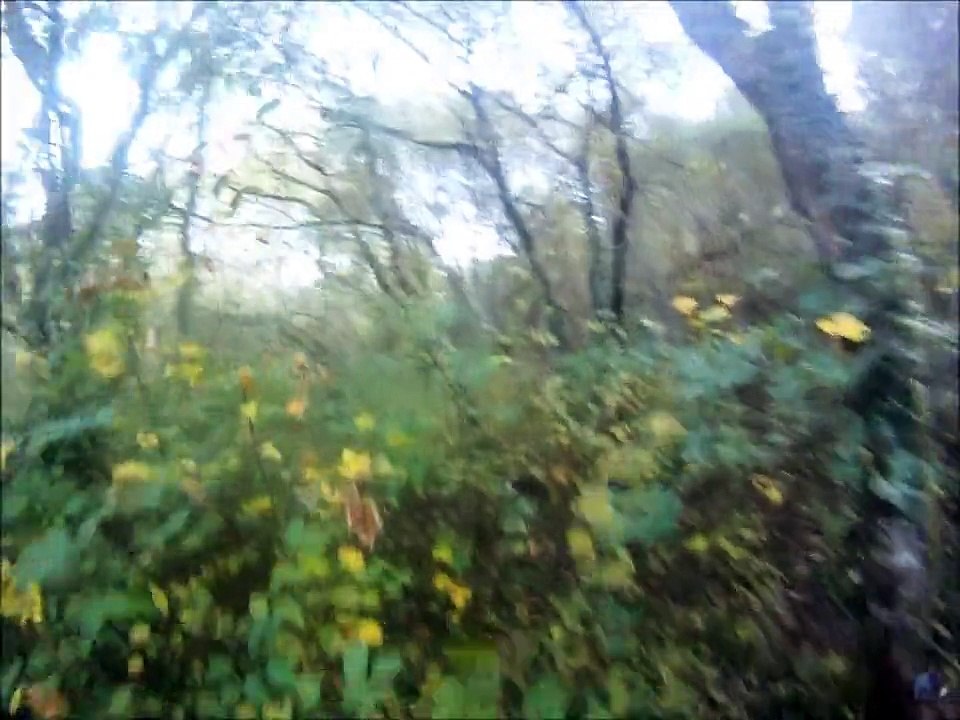 Chasse et ferme sanglier 2012