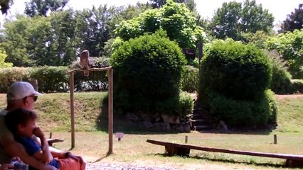 Oiseaux 01 LE PAL Dompierre