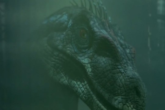Científicos descubren velociraptor emplumado