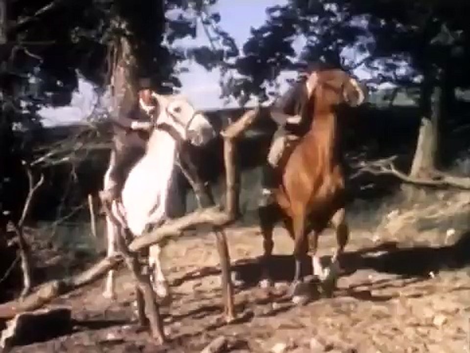 Adventures Of Black Beauty, Good Neighbours