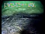 GULF OIL SPILL - MUST SEE THIS, HAPPENED TODAY @ 2:30/pm est