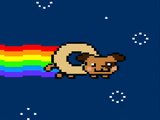 Nyan Dog (Nyan Cat Spoof)