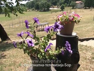 Savača, raj za sportiste, 17. jul 2015. (RTV Bor)