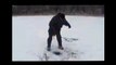 Зимняя рыбалка  Щукарь на жерлицу. FISHING AND FISHING