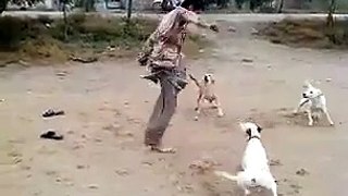 man vs dog fight