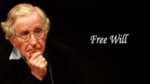 Noam Chomsky - Free Will II