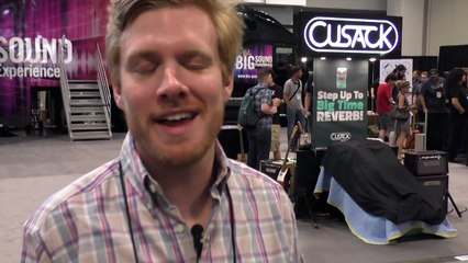 Walrus Audio Bellweather Analog Delay and Messner Overdrive