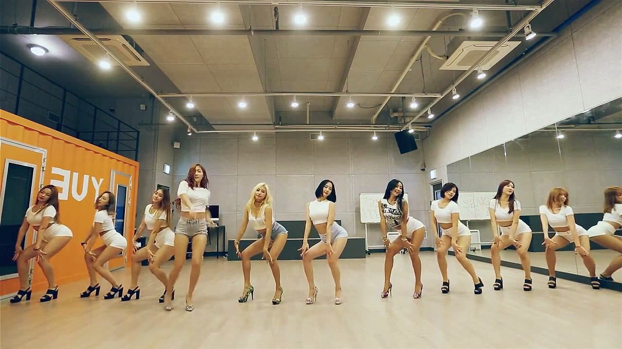 [DANCE MIRROR] SISTAR (씨스타) Shake It