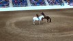 Rider Horsemanship - EquiTainment at the PA Horse Expo (2/24/13)