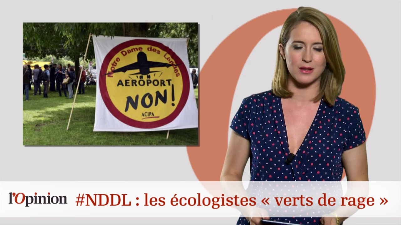 #tweetclash : #NDDL: les écologistes "verts de rage"