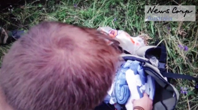 Vol MH17 : une vidéo montre le pillage supposé des effets des passagers