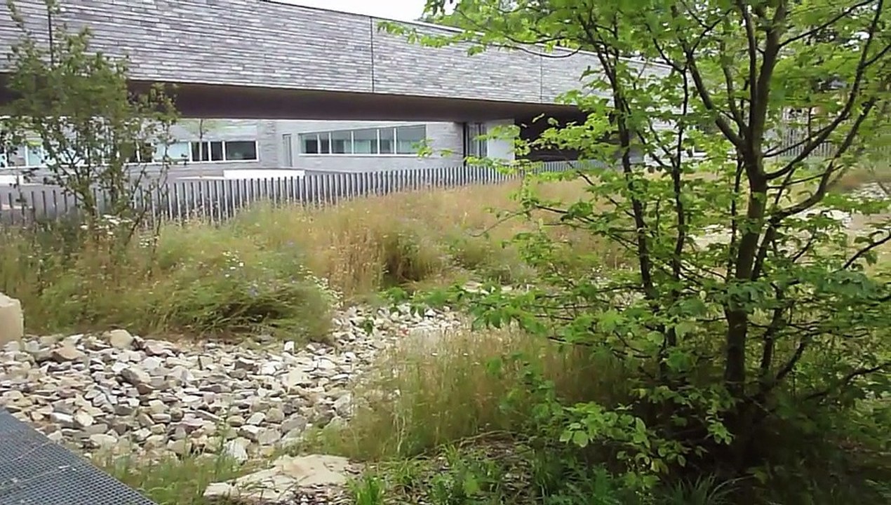 Visitez l'école Paulette Deblock à Sin-le-Noble