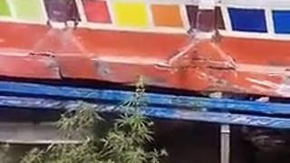 2 MEN, 6 BUFFALOES KILLED IN ROAD MISHAP IN DIR. - Dir News TV