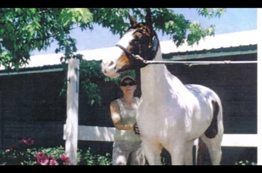 Jake's (aka Geronimo) Story