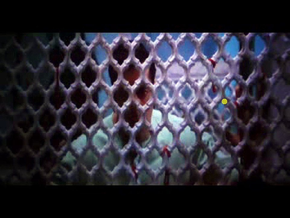 Bajrangi Bhaijaan | 2015 | Salman Khan , kareena Kapoor